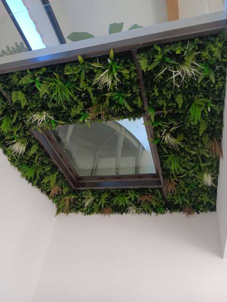 Installation d’un puits de lumière à Aix-en-Provence